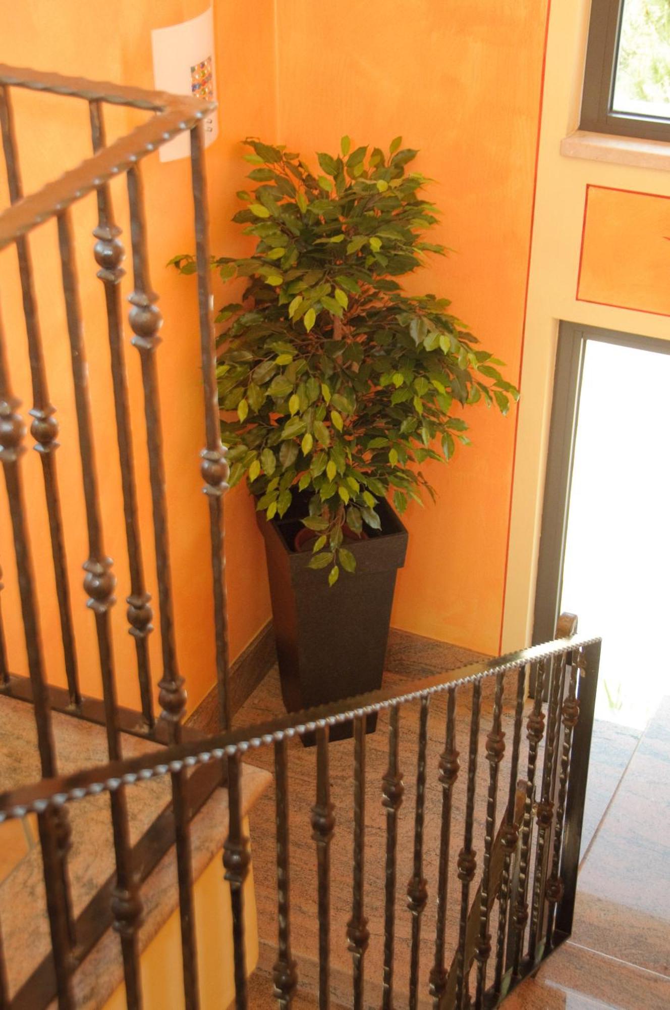 Hotel Rosa