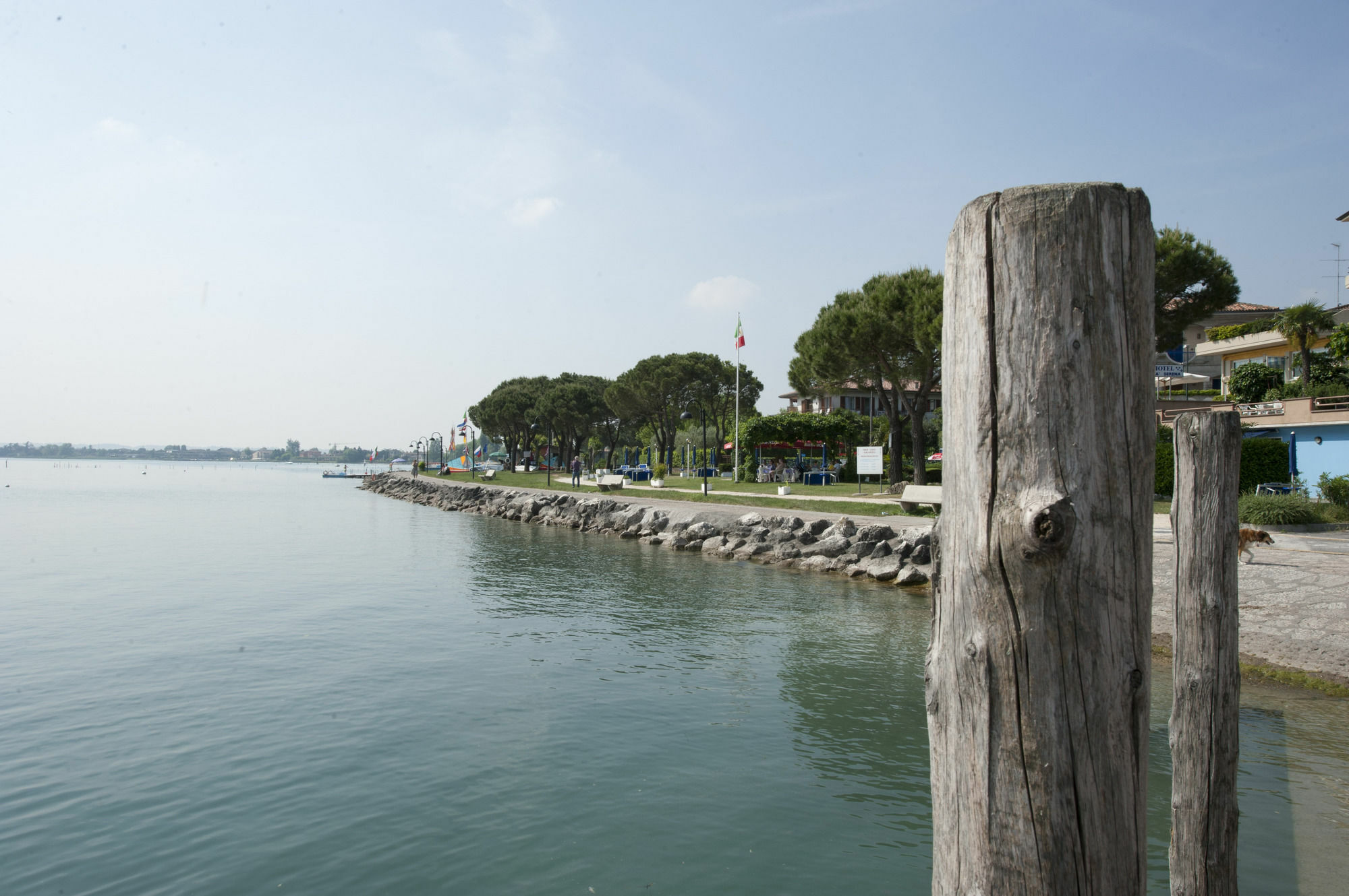Rosa Sirmione